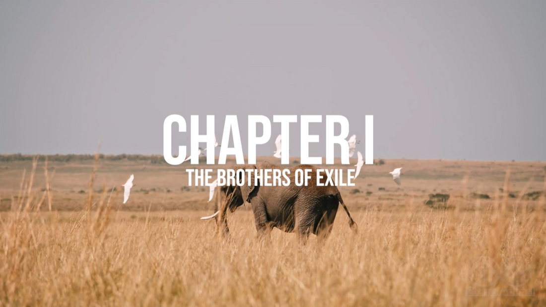 The Four Musketeers of the Mara: A Lion Brotherhood Forged in Exile