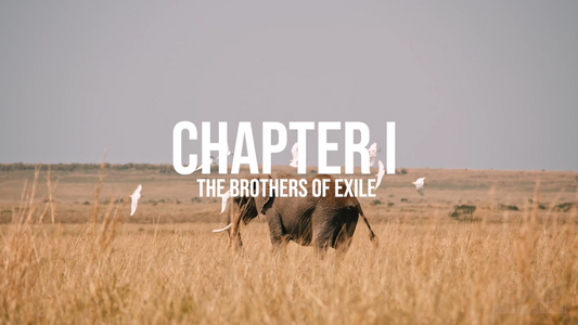 The Four Musketeers of the Mara: A Lion Brotherhood Forged in Exile