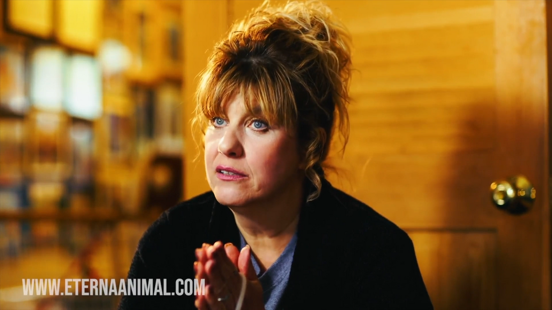 Not Your Average Boxer Breeder Meet: Susan Moutta