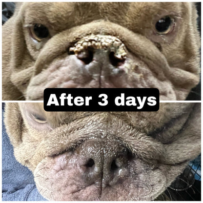 *NEW*Ruff Nose "Revolutionary (Pet Nose) Repair Balm"