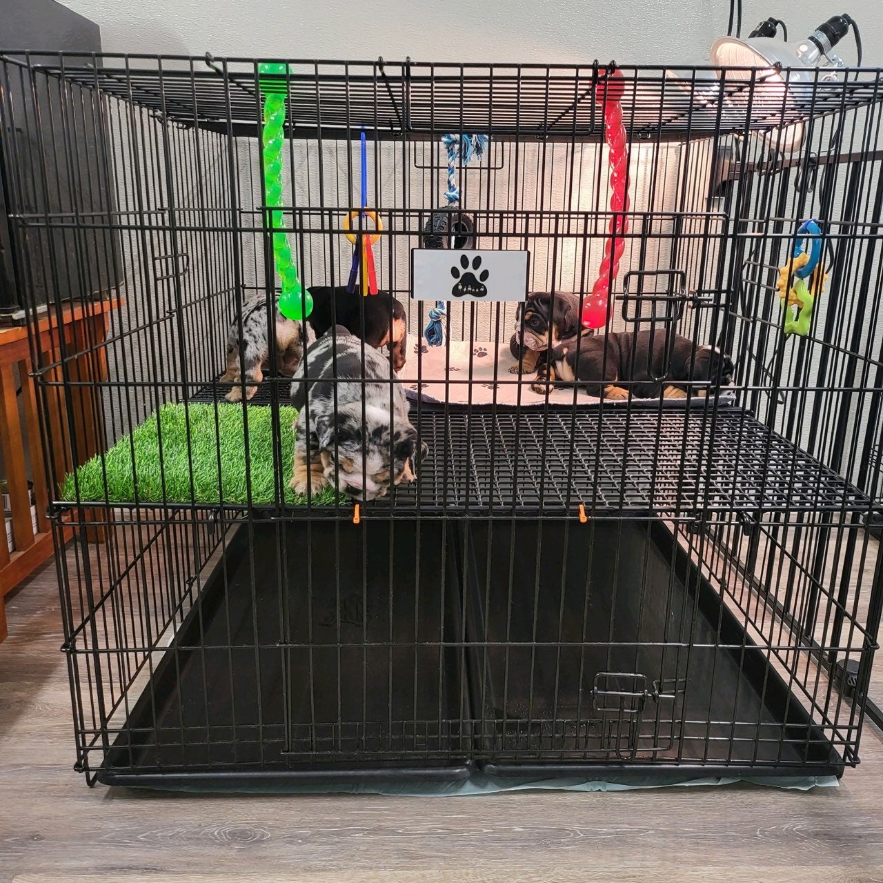 37 inch puppy play pen