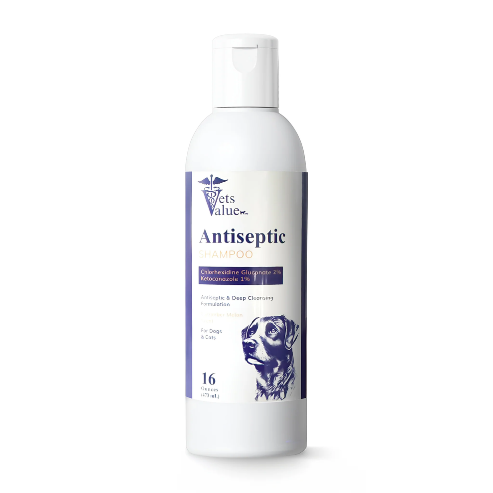 Ketoconazole / Chlorhexidine Medicated Dog Shampoo – Eterna Animal