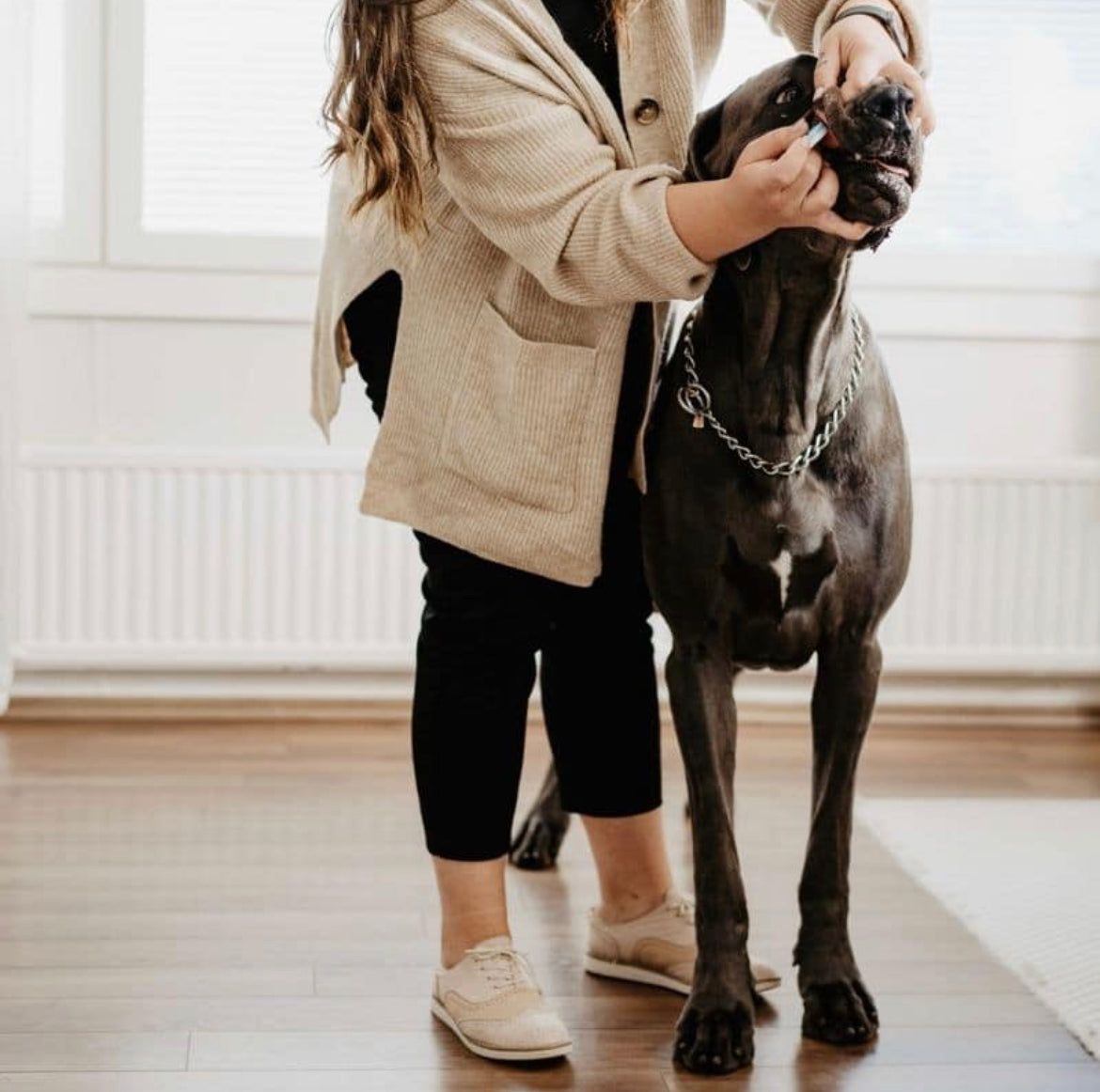 *New*(96% Accurate) Pregnancy Test for Dogs (BellyLabs)