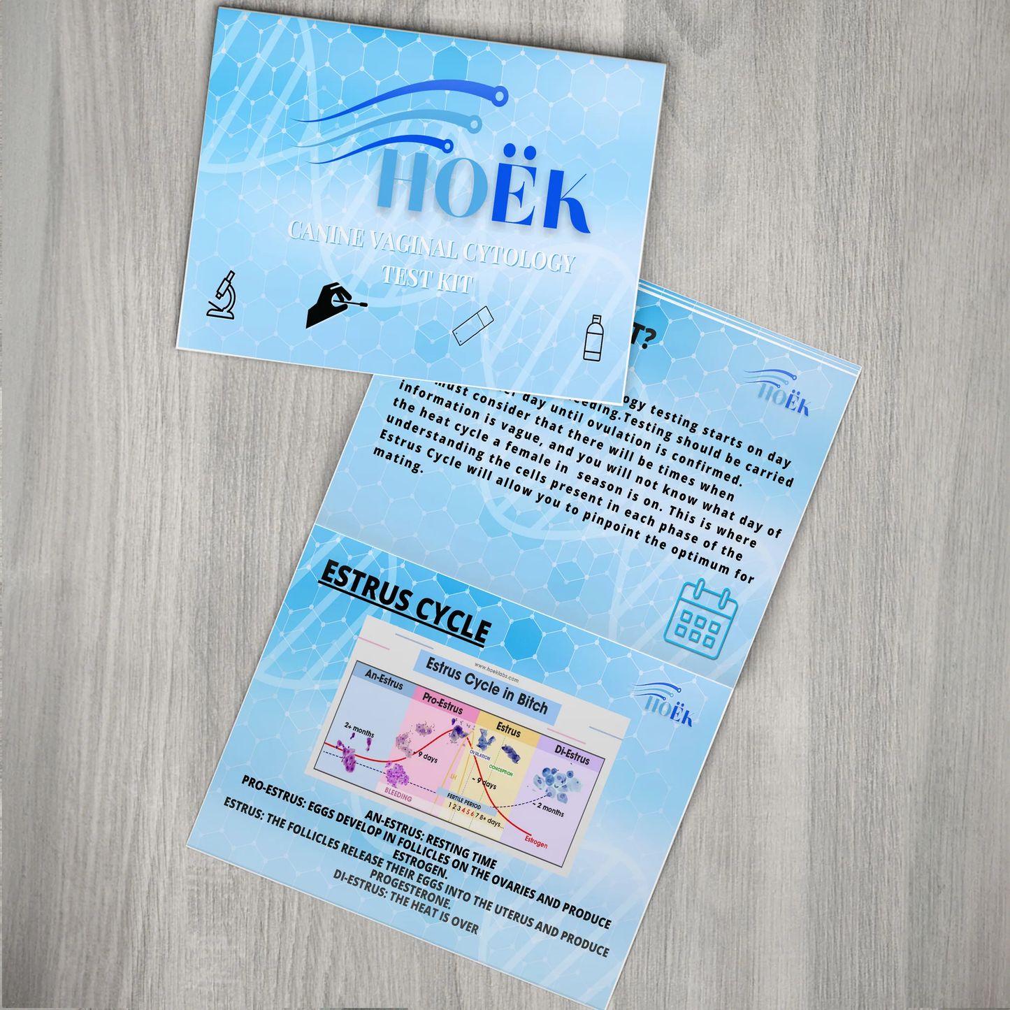 *NEW* HOËK Canine Vaginal Cytology Test Kit (Time Breedings)
