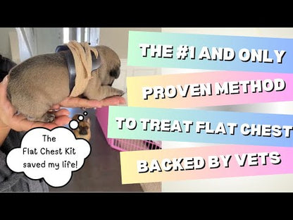 Puppy Flat Chest protector & treatment "bundle"All Sizes